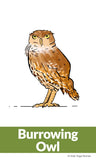 Prairie Grasslands Yoga Cards for Kids | Kids Yoga Stories