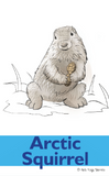 Arctic Animals Yoga Cards for Kids