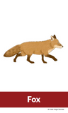 kids yoga, yoga for kids, animal yoga poses for kids