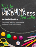 Mindful Kids in 10 Minutes a Day: Preschool-2nd PLUS (Workbook + Video Series)