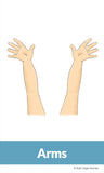 My Body Yoga Cards for Kids