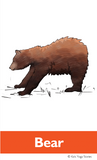 North American Animals Alphabet Yoga Cards for Kids