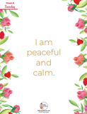 Self-Care in 5 Minutes a Day Workbook + Video Series