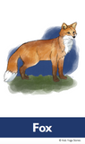 Nocturnal Animals Yoga Cards for Kids