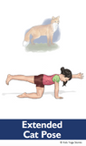 Nocturnal Animals Yoga Cards for Kids
