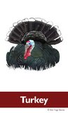 Thanksgiving Yoga Cards for Kids