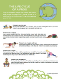 Yoga Ideas for Science Class