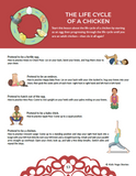 Yoga Ideas for Science Class