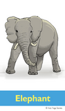 Zoo Animals Yoga Cards for Kids