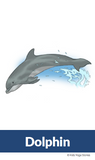 Animal Allies for Kids - yoga poses for kids