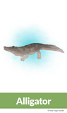 animal yoga poses - kids yoga poses