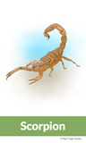 animal yoga poses - kids yoga poses