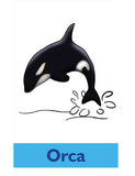 Sample pages or images for antarctic animals yoga cards for kids