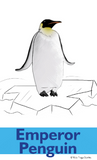 antarctic animals yoga poses for kids