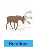 Sample pages or images for arctic animals yoga cards for kids