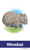 Australia yoga poses for kids