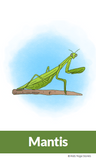 kids yoga, yoga for kids, kids yoga poses