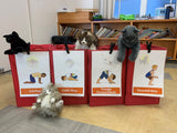 yoga for kindergartners, kids yoga, yoga poses for kids, yoga for kids, preschool yoga, animal yoga poses