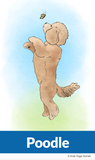 yoga for kindergartners, kids yoga, yoga poses for kids, yoga for kids, preschool yoga, animal yoga poses, dog yoga