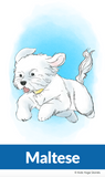 yoga for kindergartners, kids yoga, yoga poses for kids, yoga for kids, preschool yoga, animal yoga poses, dog yoga