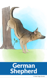 yoga for kindergartners, kids yoga, yoga poses for kids, yoga for kids, preschool yoga, animal yoga poses, dog yoga