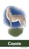 Forest Walk Yoga Cards for Kids