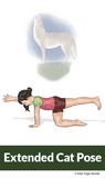 Forest Walk Yoga Cards for Kids