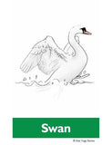 Sample pages or images for garden yoga cards for kids