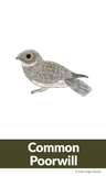 Hibernating Animals Yoga Cards for Kids