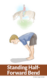 Horse Yoga Cards for Kids