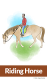 Horse Yoga Cards for Kids