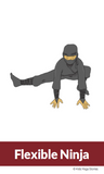Ninja Yoga Cards for Kids