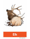 Sample pages or images for north american animals alphabet yoga cards for kids