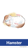 Pet Yoga Cards for Kids