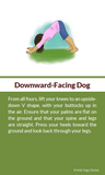Seven Grandfather Teachings Yoga Cards for Kids