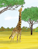 The Grateful Giraffe