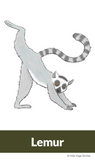 Lemur | Hibernating Animals Yoga Cards for Kids