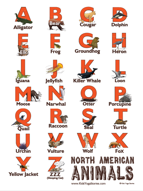 North American Animals Alphabet Poster
